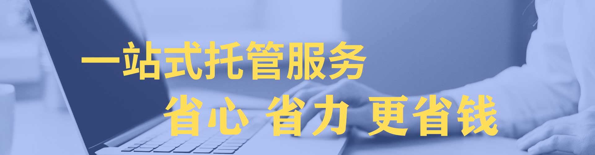 卢龙竞价托管